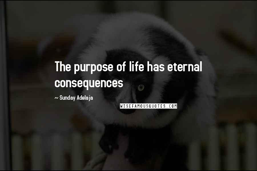 Sunday Adelaja Quotes: The purpose of life has eternal consequences