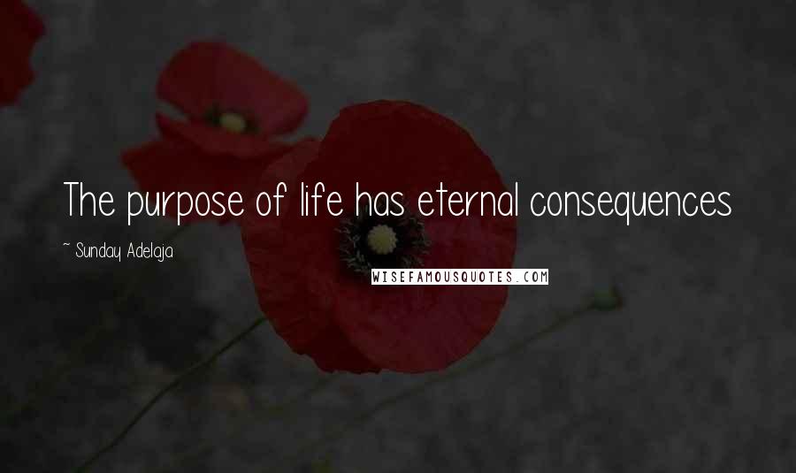 Sunday Adelaja Quotes: The purpose of life has eternal consequences