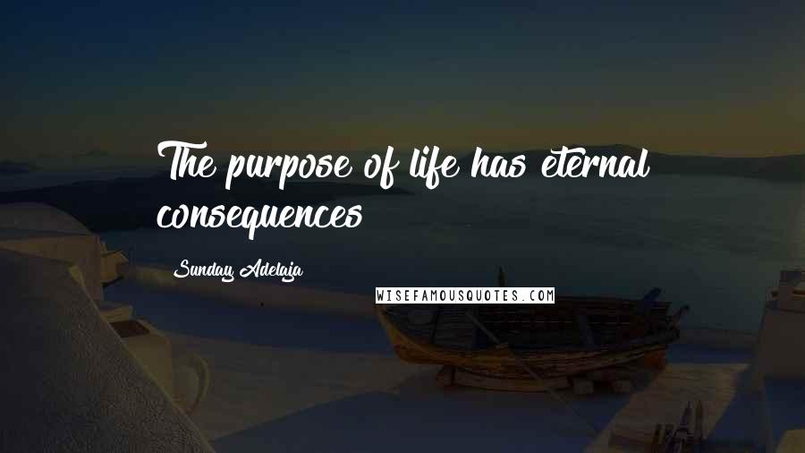 Sunday Adelaja Quotes: The purpose of life has eternal consequences