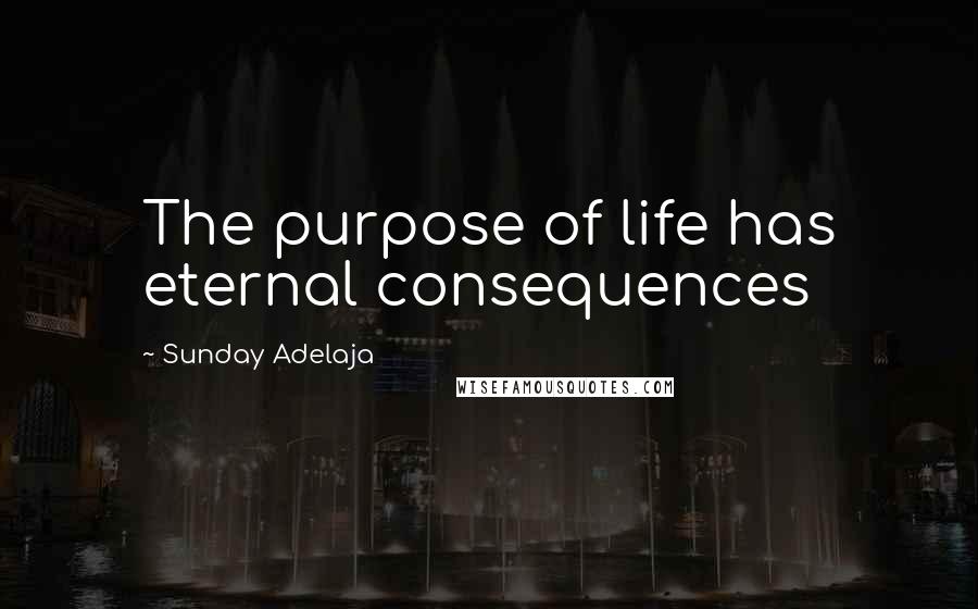 Sunday Adelaja Quotes: The purpose of life has eternal consequences