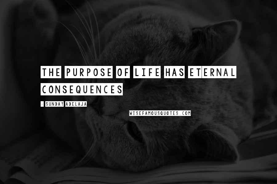 Sunday Adelaja Quotes: The purpose of life has eternal consequences