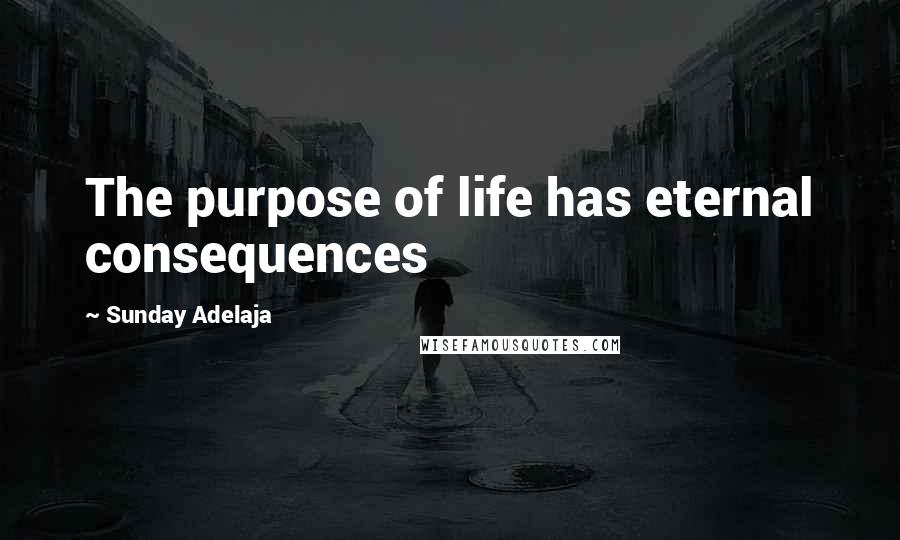 Sunday Adelaja Quotes: The purpose of life has eternal consequences