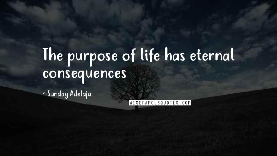 Sunday Adelaja Quotes: The purpose of life has eternal consequences