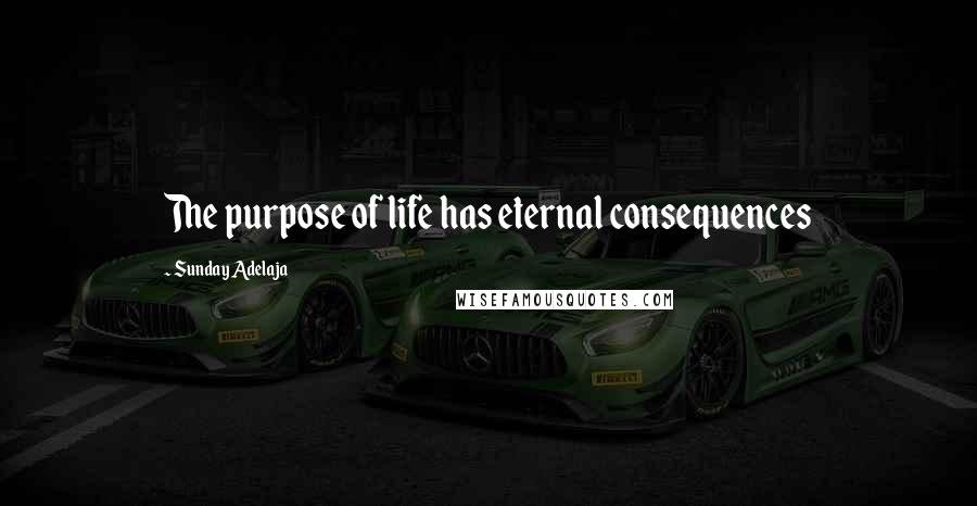 Sunday Adelaja Quotes: The purpose of life has eternal consequences