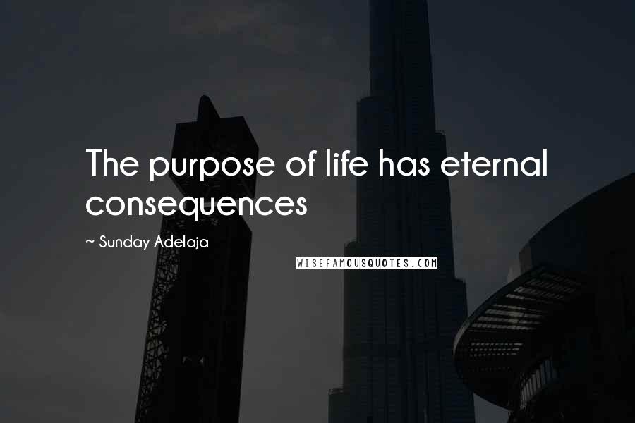 Sunday Adelaja Quotes: The purpose of life has eternal consequences