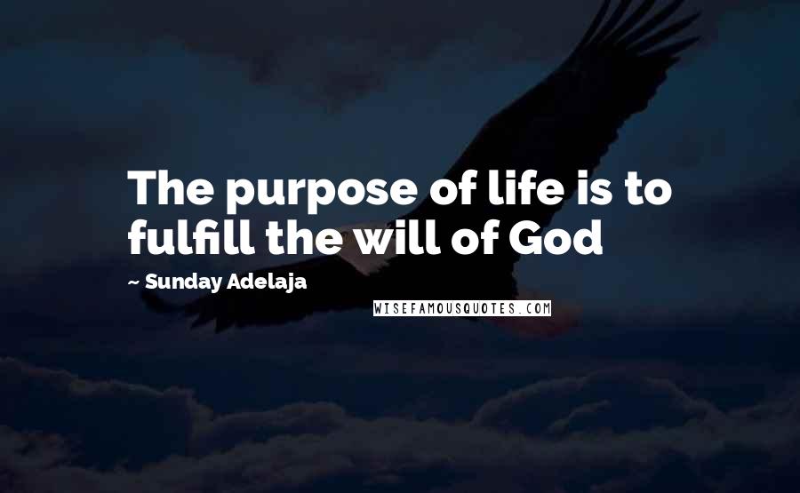 Sunday Adelaja Quotes: The purpose of life is to fulfill the will of God