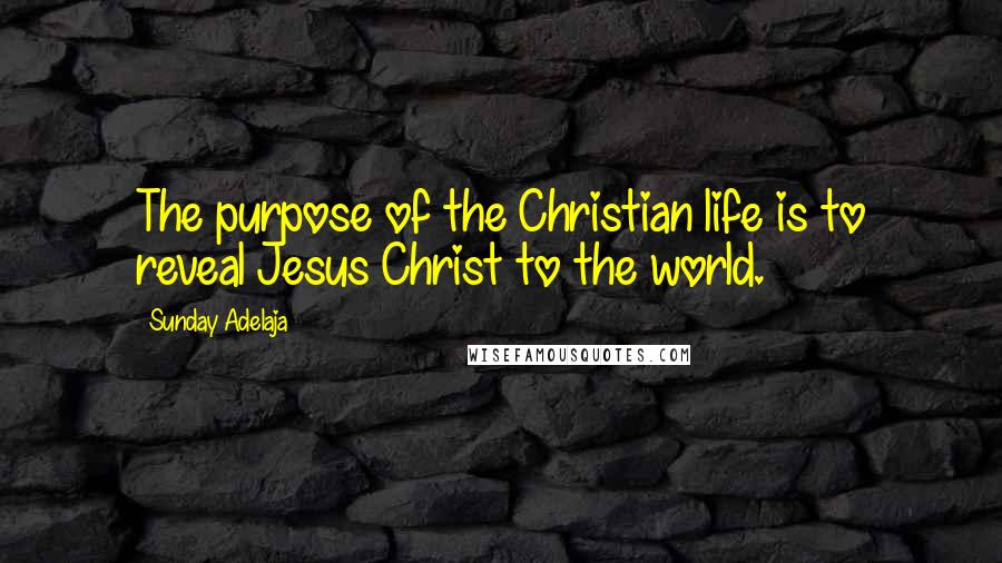 Sunday Adelaja Quotes: The purpose of the Christian life is to reveal Jesus Christ to the world.