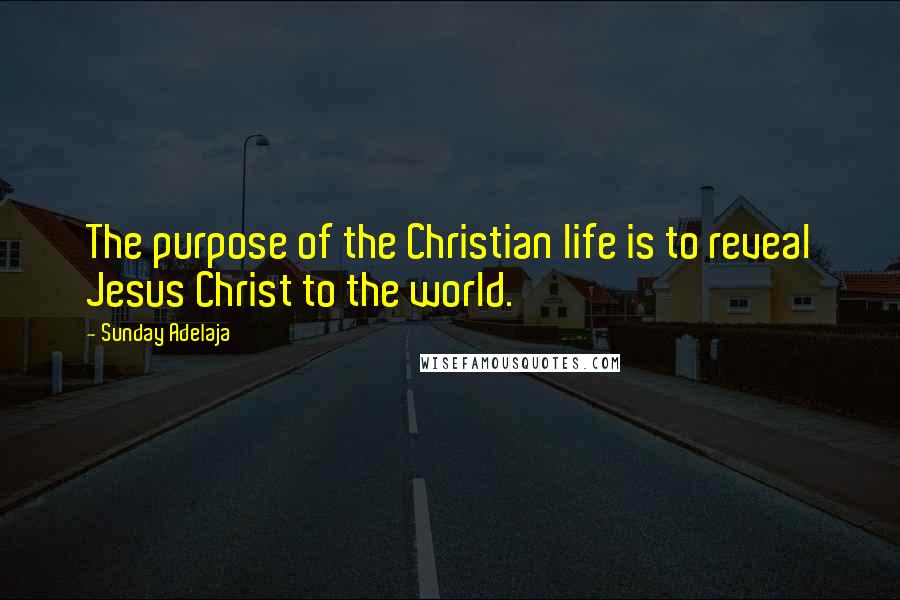 Sunday Adelaja Quotes: The purpose of the Christian life is to reveal Jesus Christ to the world.