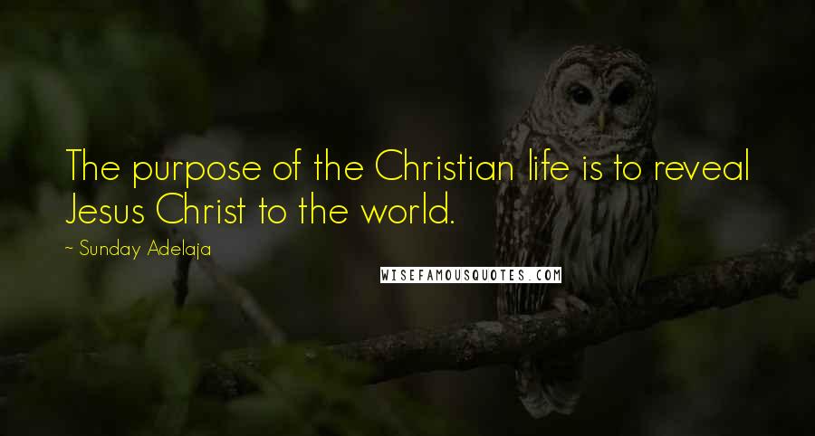 Sunday Adelaja Quotes: The purpose of the Christian life is to reveal Jesus Christ to the world.