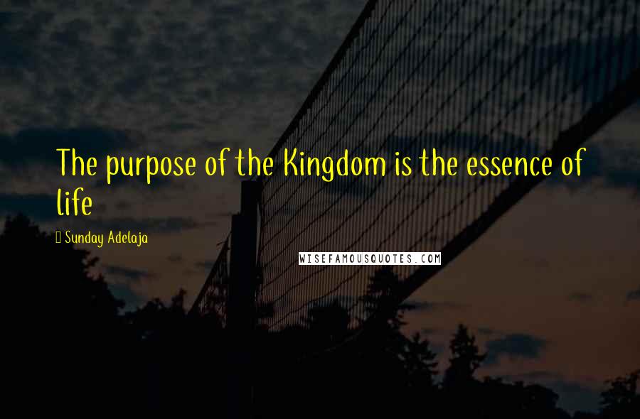 Sunday Adelaja Quotes: The purpose of the Kingdom is the essence of life