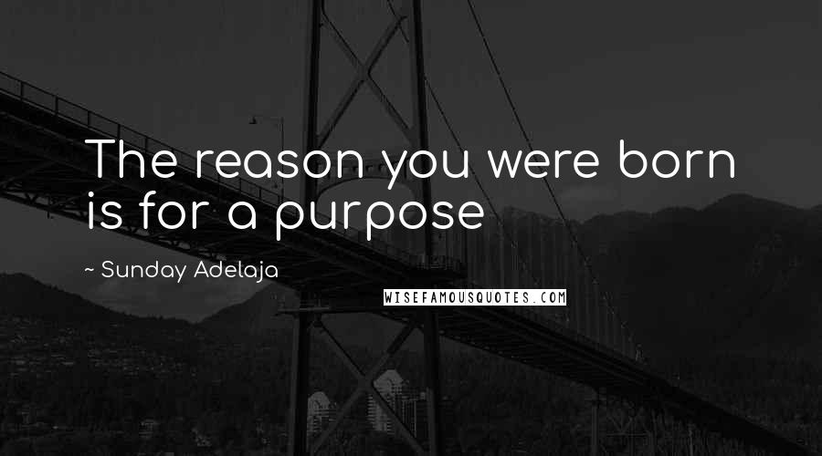 Sunday Adelaja Quotes: The reason you were born is for a purpose