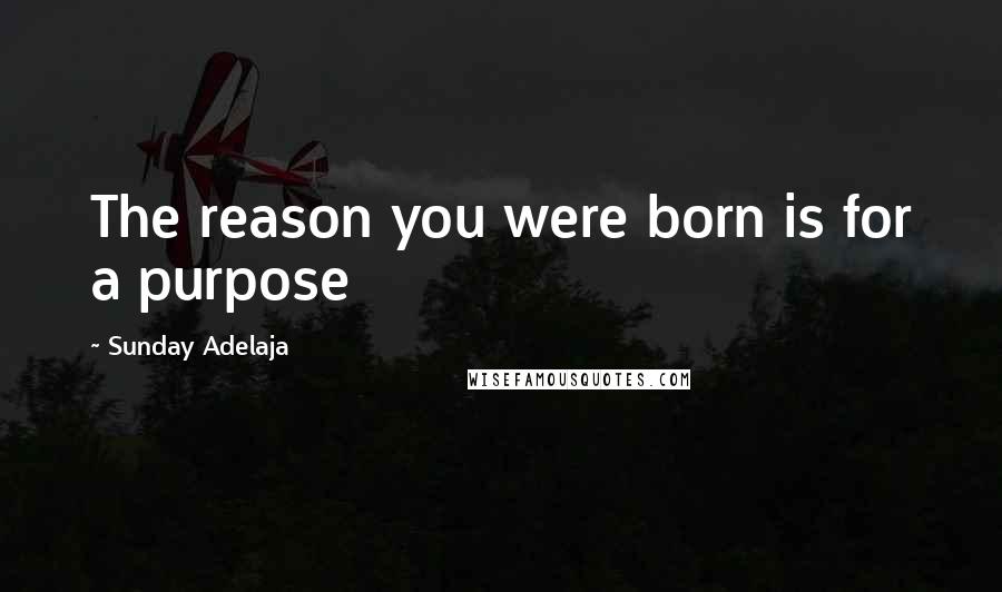 Sunday Adelaja Quotes: The reason you were born is for a purpose