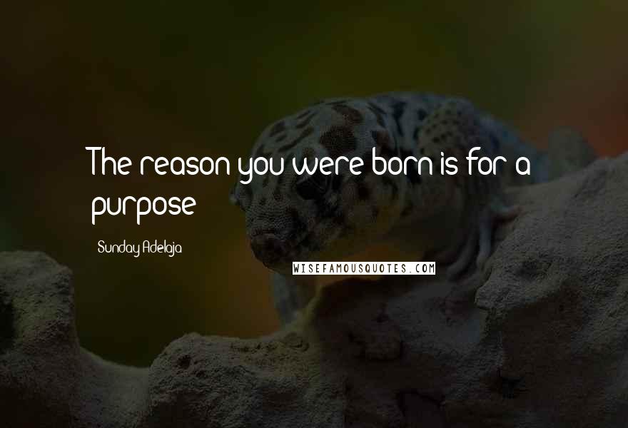 Sunday Adelaja Quotes: The reason you were born is for a purpose