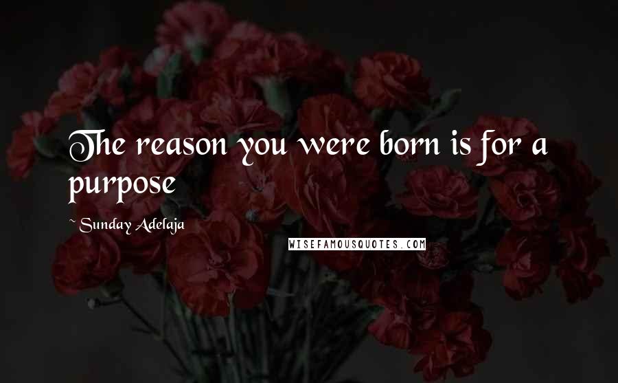 Sunday Adelaja Quotes: The reason you were born is for a purpose