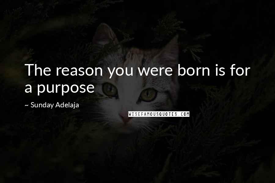 Sunday Adelaja Quotes: The reason you were born is for a purpose