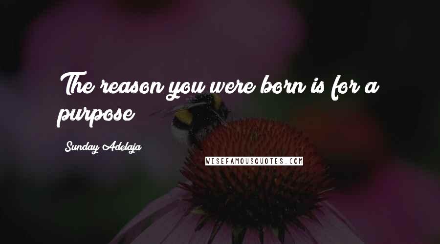 Sunday Adelaja Quotes: The reason you were born is for a purpose