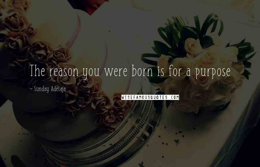 Sunday Adelaja Quotes: The reason you were born is for a purpose