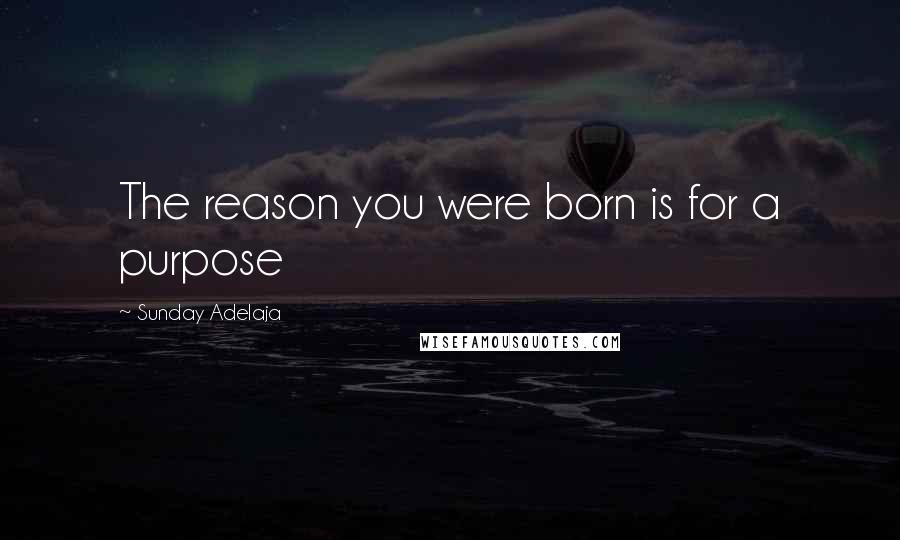 Sunday Adelaja Quotes: The reason you were born is for a purpose