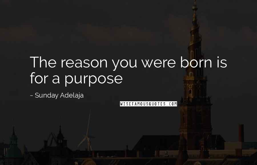 Sunday Adelaja Quotes: The reason you were born is for a purpose