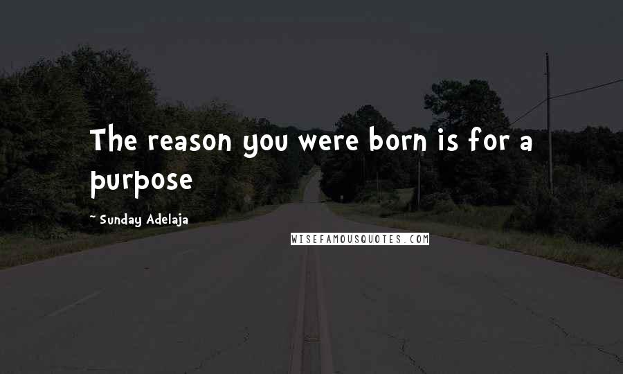 Sunday Adelaja Quotes: The reason you were born is for a purpose