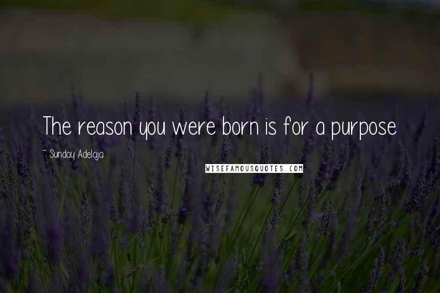 Sunday Adelaja Quotes: The reason you were born is for a purpose