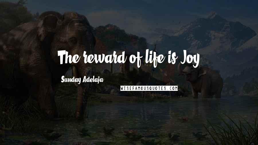 Sunday Adelaja Quotes: The reward of life is Joy