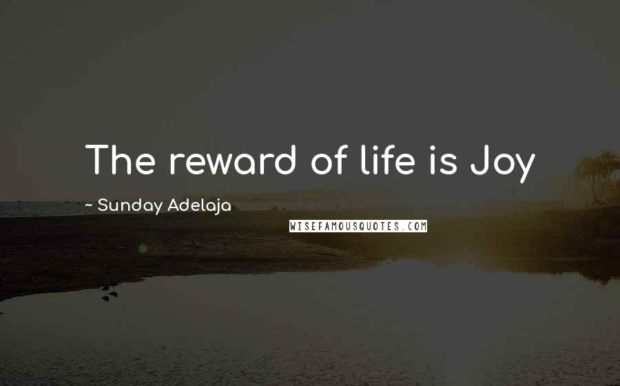 Sunday Adelaja Quotes: The reward of life is Joy
