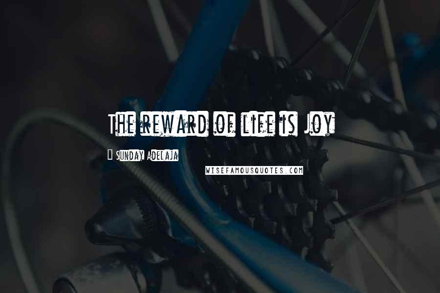 Sunday Adelaja Quotes: The reward of life is Joy