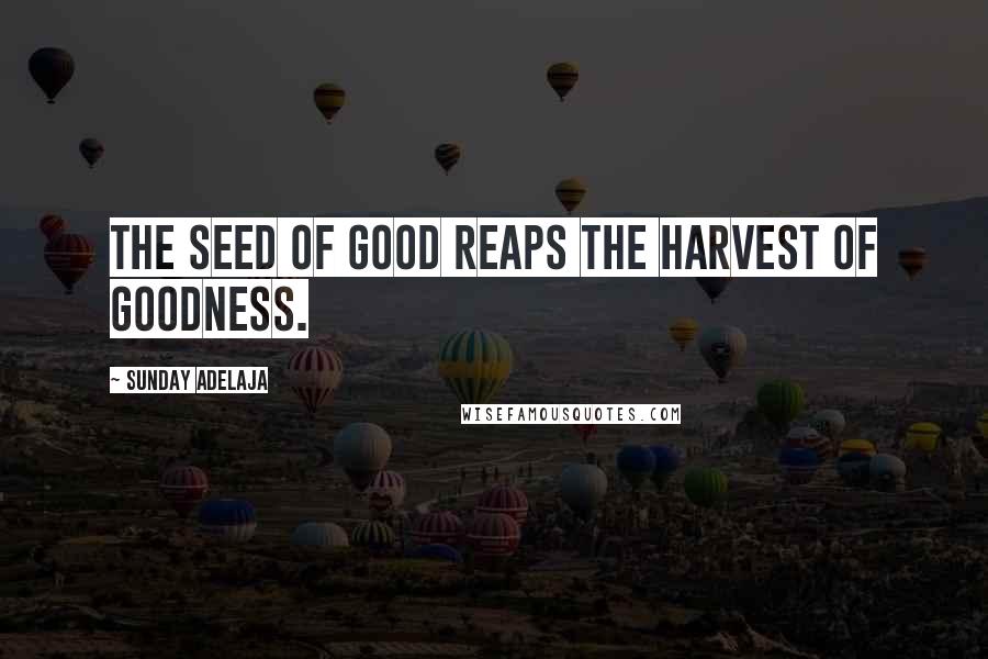 Sunday Adelaja Quotes: The seed of good reaps the harvest of goodness.