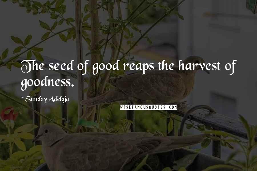 Sunday Adelaja Quotes: The seed of good reaps the harvest of goodness.