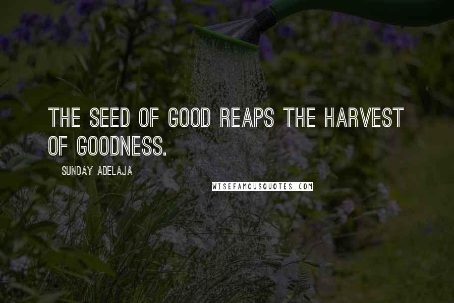 Sunday Adelaja Quotes: The seed of good reaps the harvest of goodness.