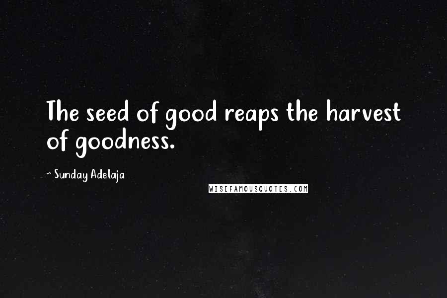 Sunday Adelaja Quotes: The seed of good reaps the harvest of goodness.