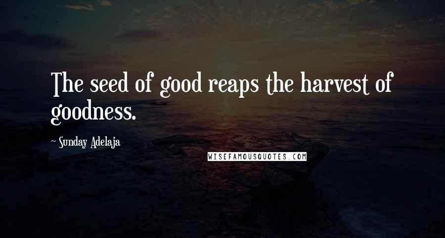 Sunday Adelaja Quotes: The seed of good reaps the harvest of goodness.