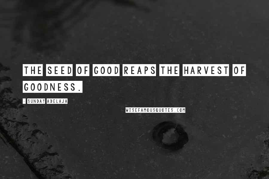 Sunday Adelaja Quotes: The seed of good reaps the harvest of goodness.