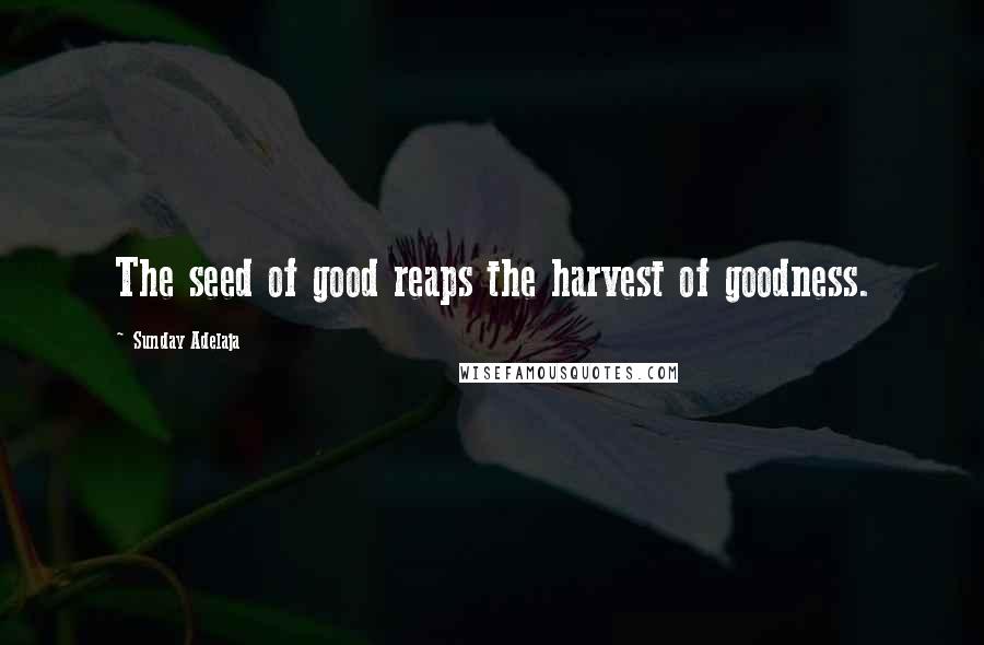 Sunday Adelaja Quotes: The seed of good reaps the harvest of goodness.