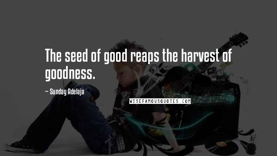 Sunday Adelaja Quotes: The seed of good reaps the harvest of goodness.