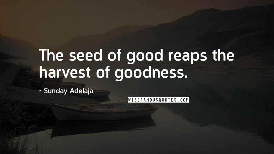 Sunday Adelaja Quotes: The seed of good reaps the harvest of goodness.