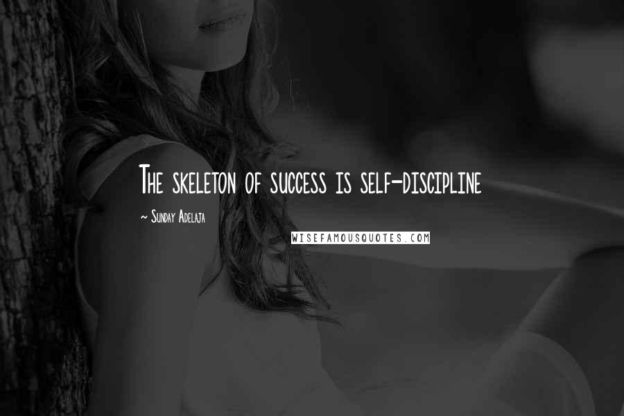 Sunday Adelaja Quotes: The skeleton of success is self-discipline