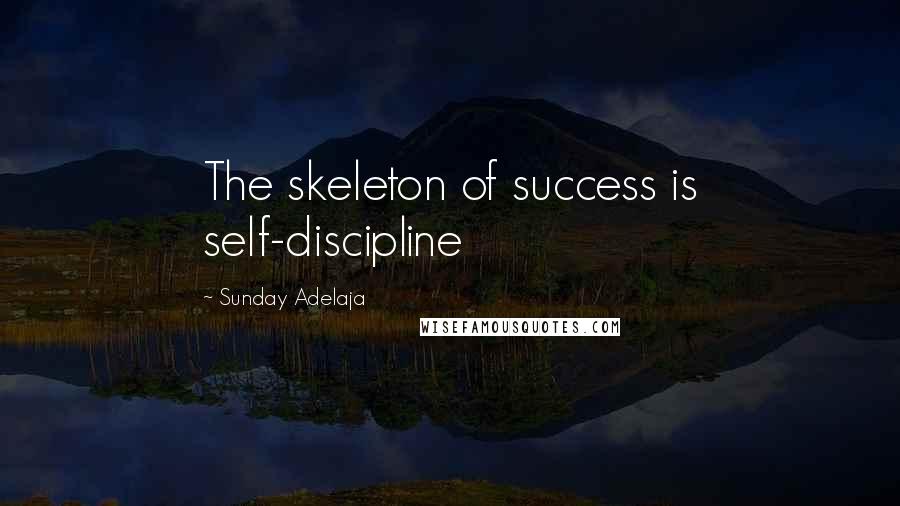 Sunday Adelaja Quotes: The skeleton of success is self-discipline