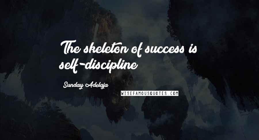 Sunday Adelaja Quotes: The skeleton of success is self-discipline