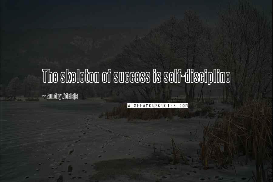 Sunday Adelaja Quotes: The skeleton of success is self-discipline