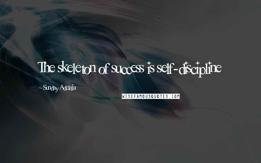 Sunday Adelaja Quotes: The skeleton of success is self-discipline