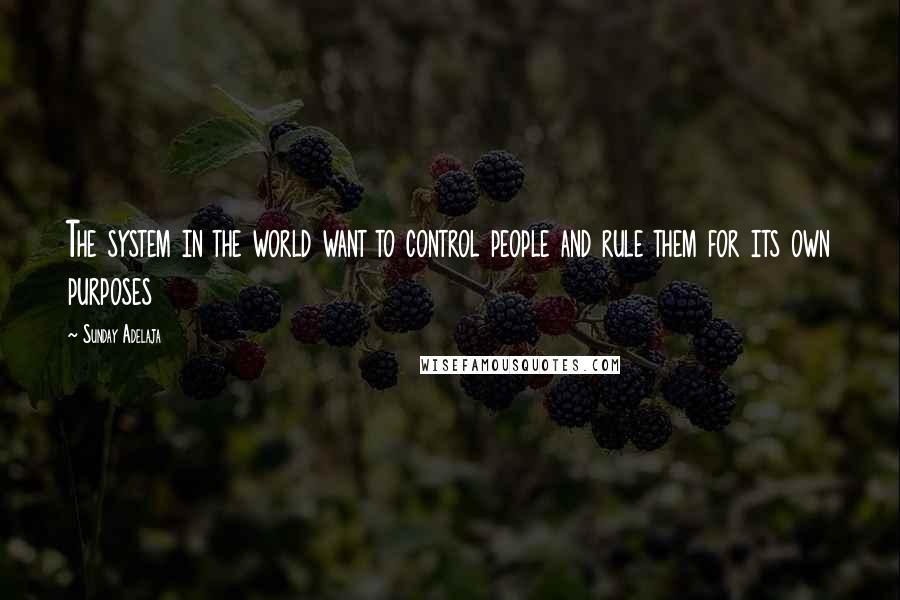 Sunday Adelaja Quotes: The system in the world want to control people and rule them for its own purposes