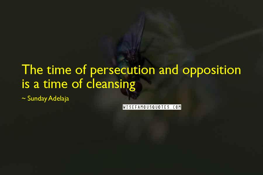 Sunday Adelaja Quotes: The time of persecution and opposition is a time of cleansing