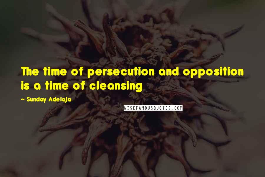 Sunday Adelaja Quotes: The time of persecution and opposition is a time of cleansing