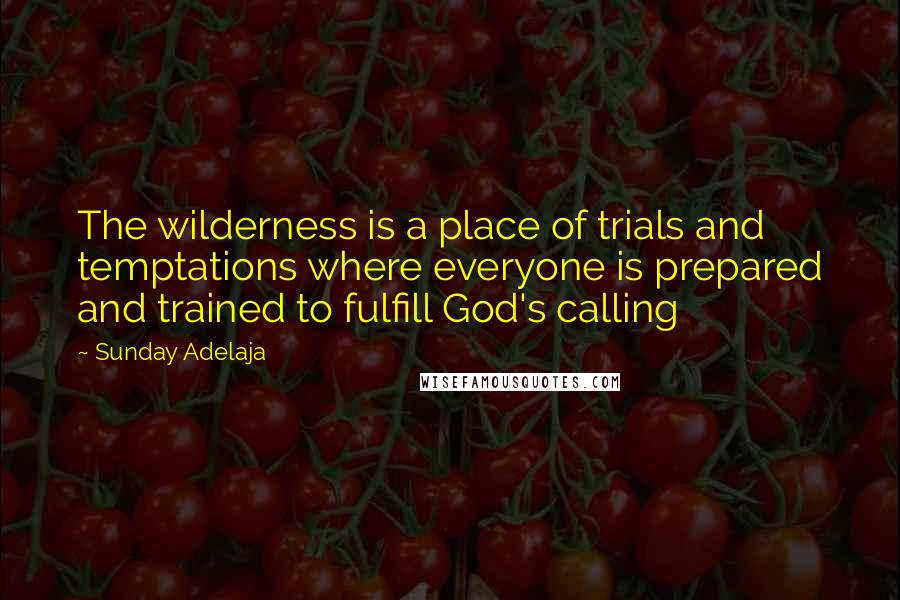 Sunday Adelaja Quotes: The wilderness is a place of trials and temptations where everyone is prepared and trained to fulfill God's calling