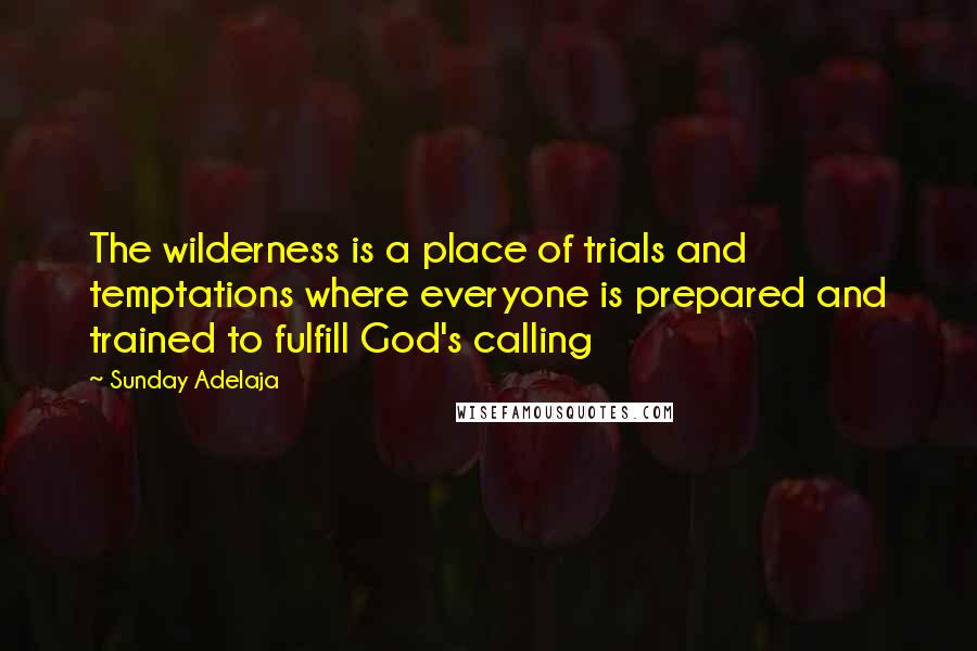Sunday Adelaja Quotes: The wilderness is a place of trials and temptations where everyone is prepared and trained to fulfill God's calling
