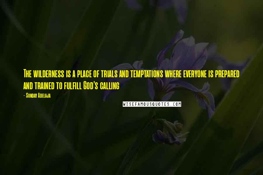 Sunday Adelaja Quotes: The wilderness is a place of trials and temptations where everyone is prepared and trained to fulfill God's calling