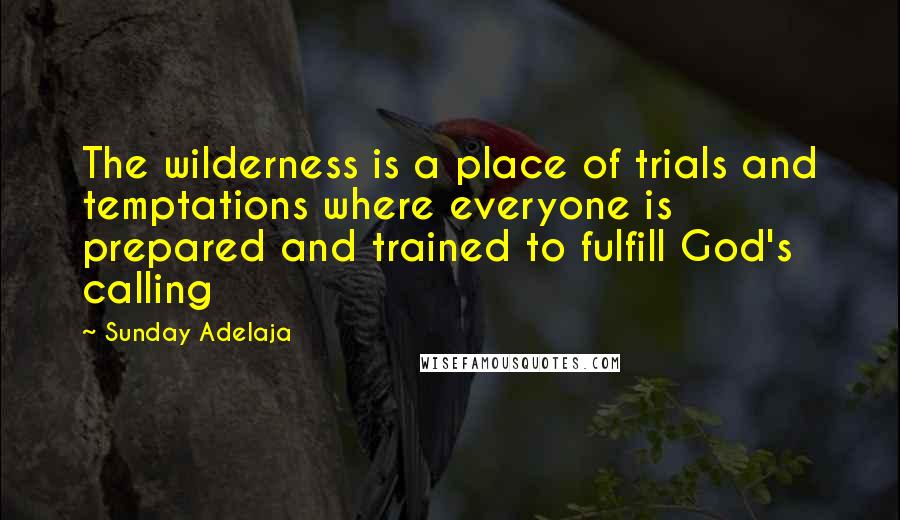 Sunday Adelaja Quotes: The wilderness is a place of trials and temptations where everyone is prepared and trained to fulfill God's calling