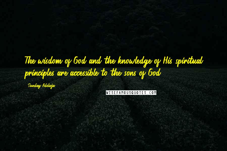 Sunday Adelaja Quotes: The wisdom of God and the knowledge of His spiritual principles are accessible to the sons of God